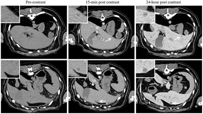 Advanced Cancer Imaging Applied in the Comparative Setting